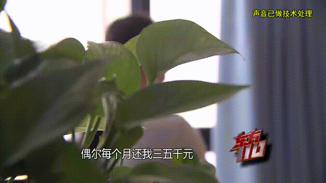 皇冠信用出租
_37岁痴情女子倾尽百万泡面果腹仍坚持转账：帮皇冠信用出租
他有种使命感
