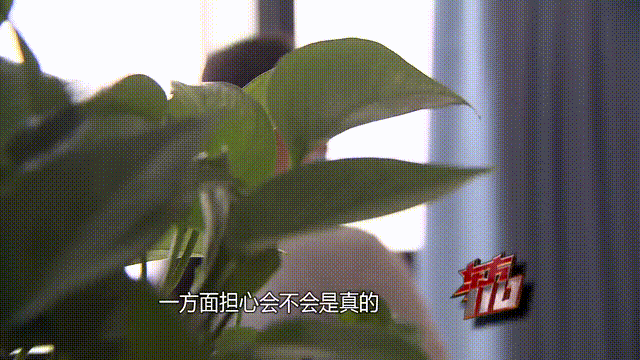 皇冠信用出租
_37岁痴情女子倾尽百万泡面果腹仍坚持转账：帮皇冠信用出租
他有种使命感