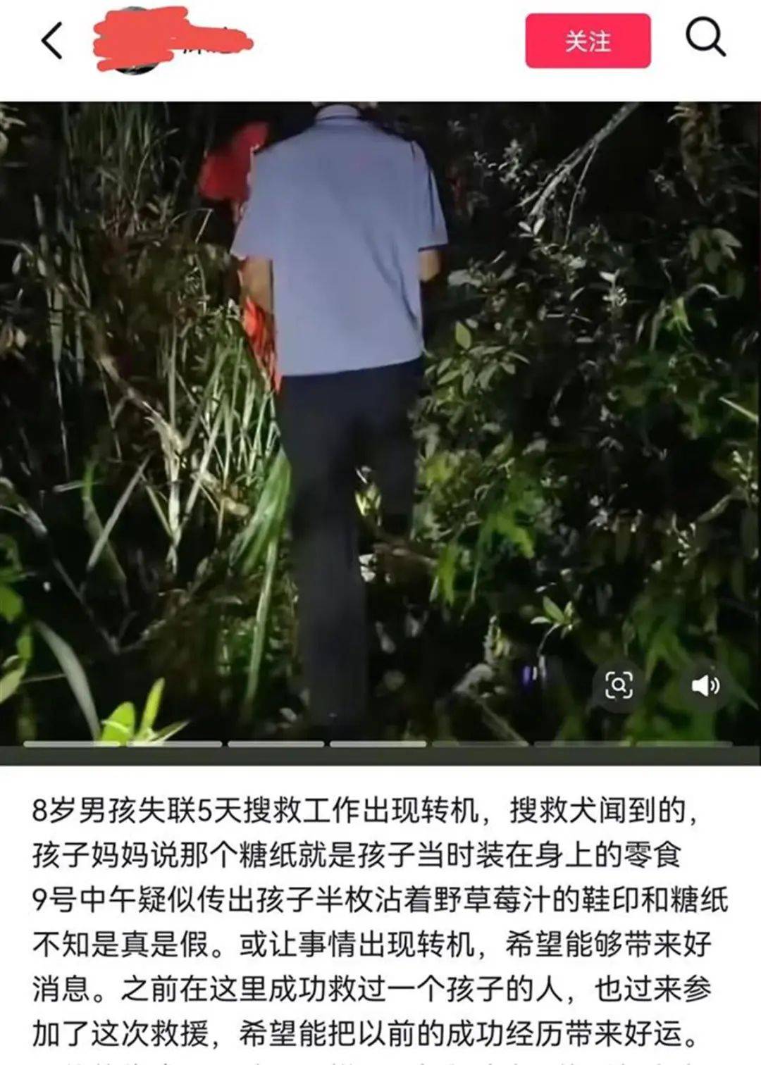 信用平台出租
_2只搜救犬受伤信用平台出租
！发现福建8岁失踪男孩的脚印和糖纸？搜救人员回应