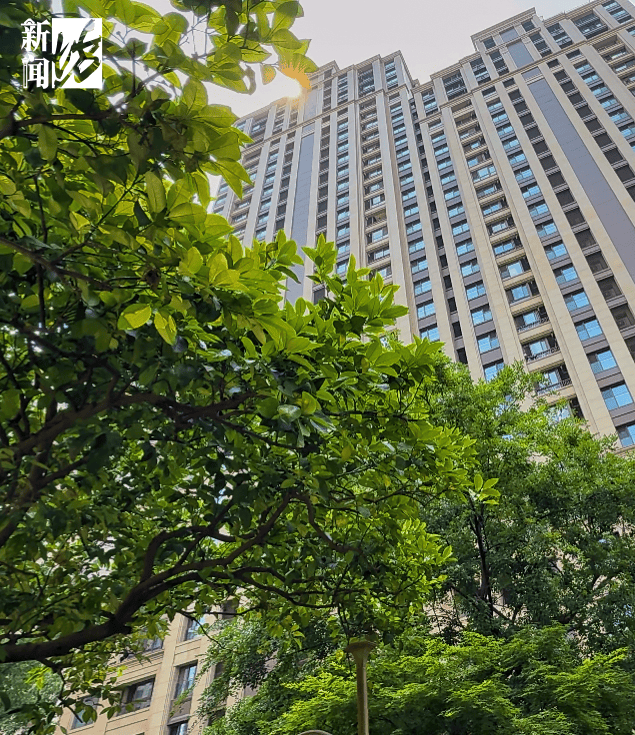 皇冠信用网出租
_垃圾堆满皇冠信用网出租
，臭到离谱！上海顶流豪宅业主也拾荒？邻居直呼倒大霉，不能忍！