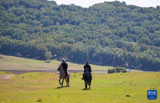 皇冠信用盘代理_初秋的乌兰布统草原
