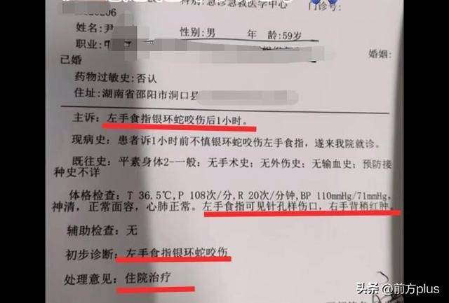 皇冠信用盘登2登3
_湖南邵阳一男子直播挖蛇被咬皇冠信用盘登2登3
,去医院后却自行离开至今下落不明