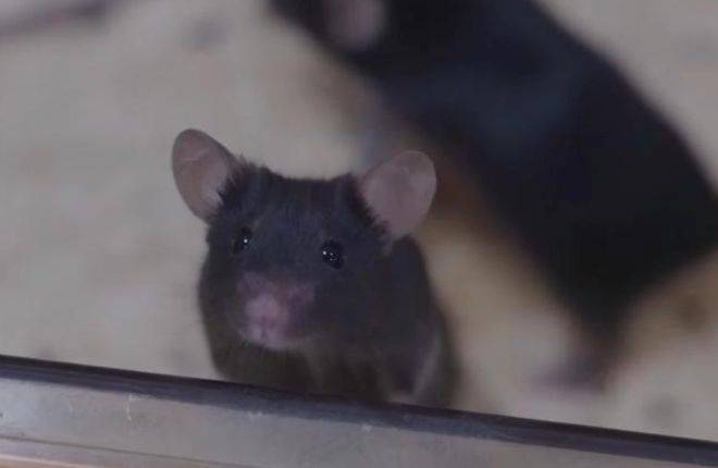 hga035怎么注册账号
_神舟二十一号升空！现在的问题是hga035怎么注册账号
，导师上天了，组会还开吗？