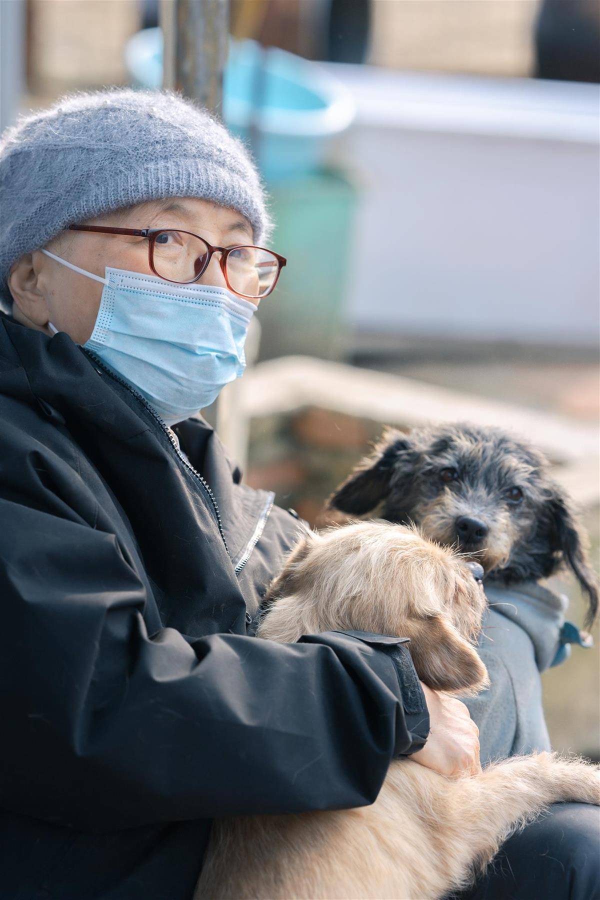 登3代理出租
_合肥卖房救助流浪狗的魏阿姨离世登3代理出租
，病中仍然惦记着基地的600只流浪狗，工人：不敢相信世上还有这样执着的人