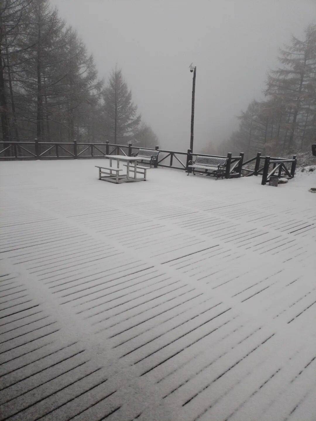 正版皇冠信用网开户
_石家庄下雪了!河北将迎中到大雪正版皇冠信用网开户
,未来三天……