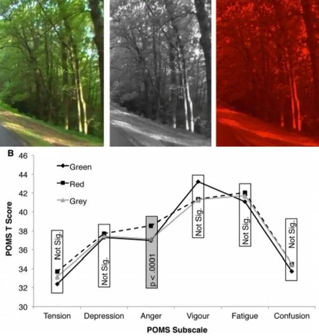 皇冠信用盘在哪里开通
_年代剧的墙皇冠信用盘在哪里开通
,为什么都是上白下绿?