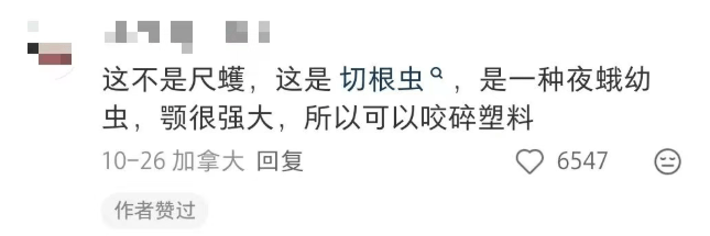 皇冠会员如何申请
_汽车被虫子啃得都是窟窿皇冠会员如何申请
,“一边咬一边往里钻”!很多人中招