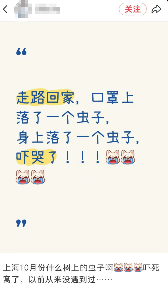 皇冠会员如何申请
_汽车被虫子啃得都是窟窿皇冠会员如何申请
,“一边咬一边往里钻”!很多人中招