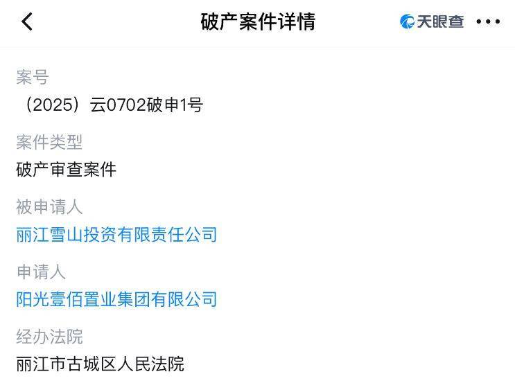 世界杯足球平台代理
_李亚鹏开发的雪山艺术小镇被申请破产世界杯足球平台代理
,原股东股权价值将归零?