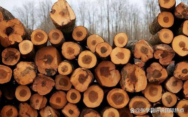 正版皇冠信用网开户
_48小时内正版皇冠信用网开户
,中方连下3令,特朗普别高兴太早,承诺一个都不能少