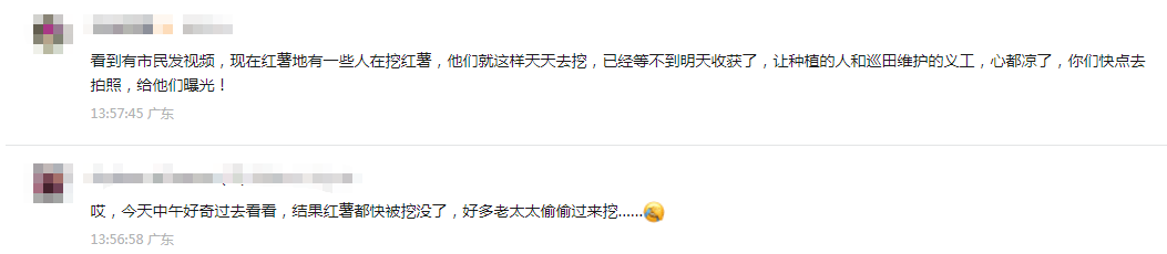 皇冠信用盘会员账号
_深圳市中心竟有一大片“红薯地”皇冠信用盘会员账号
!官方紧急提醒:请勿私挖