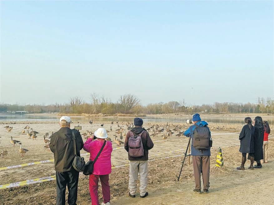 皇冠信用网需要押金吗
_“大姐皇冠信用网需要押金吗
,再喂它们就走不了了!”