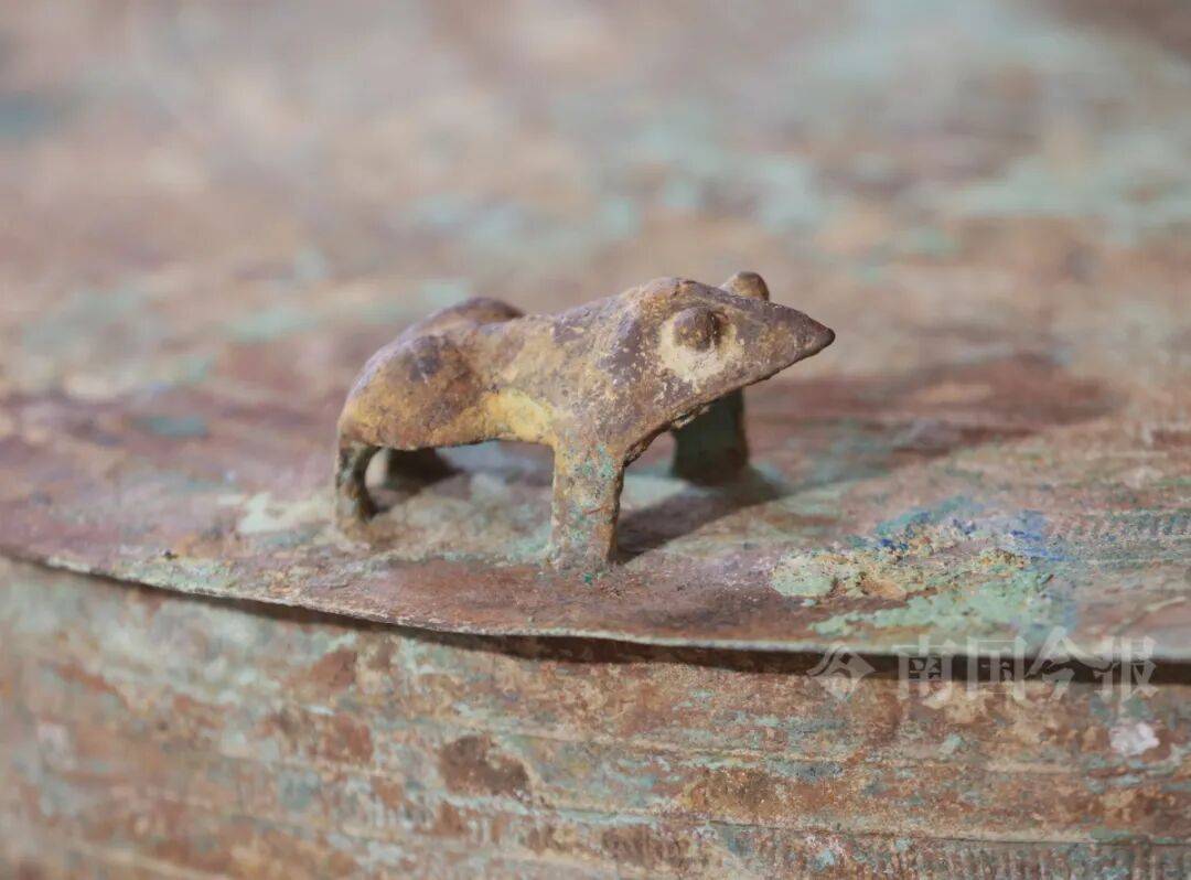 皇冠信用网登3代理
_柳州钓鱼阿叔竹林挖蚯蚓皇冠信用网登3代理
,竟挖出千年前的“大宝贝”!