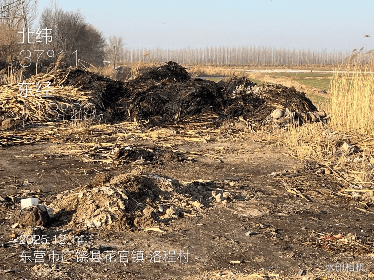 意大利乙组联赛
_广饶县:农村人居环境亟待提升