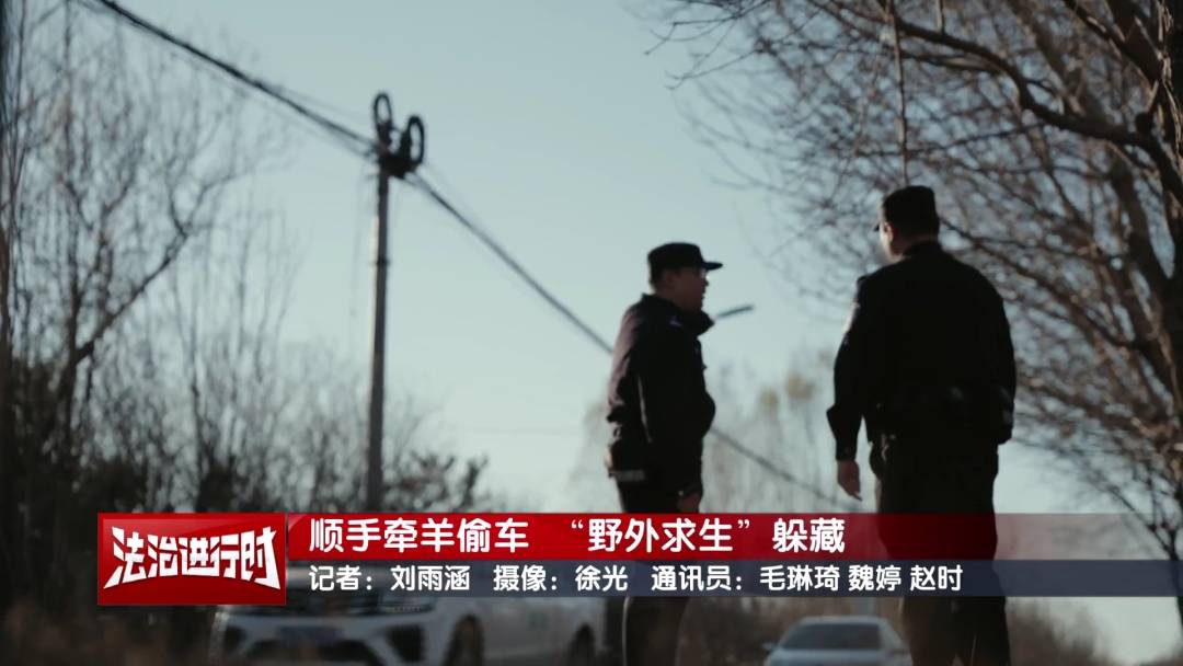 维塞乌U23 vs雷克斯欧斯U23
_北京警方刑拘1名“荒野求生”爱好者