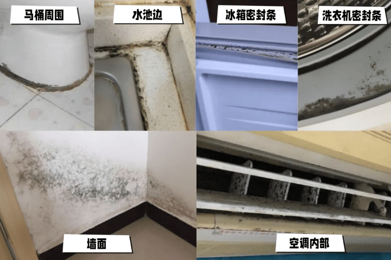 皇冠信用网代理注册_6岁女童发烧17天皇冠信用网代理注册,脑子竟被“啃”出十几个洞!“元凶”家中很常见!