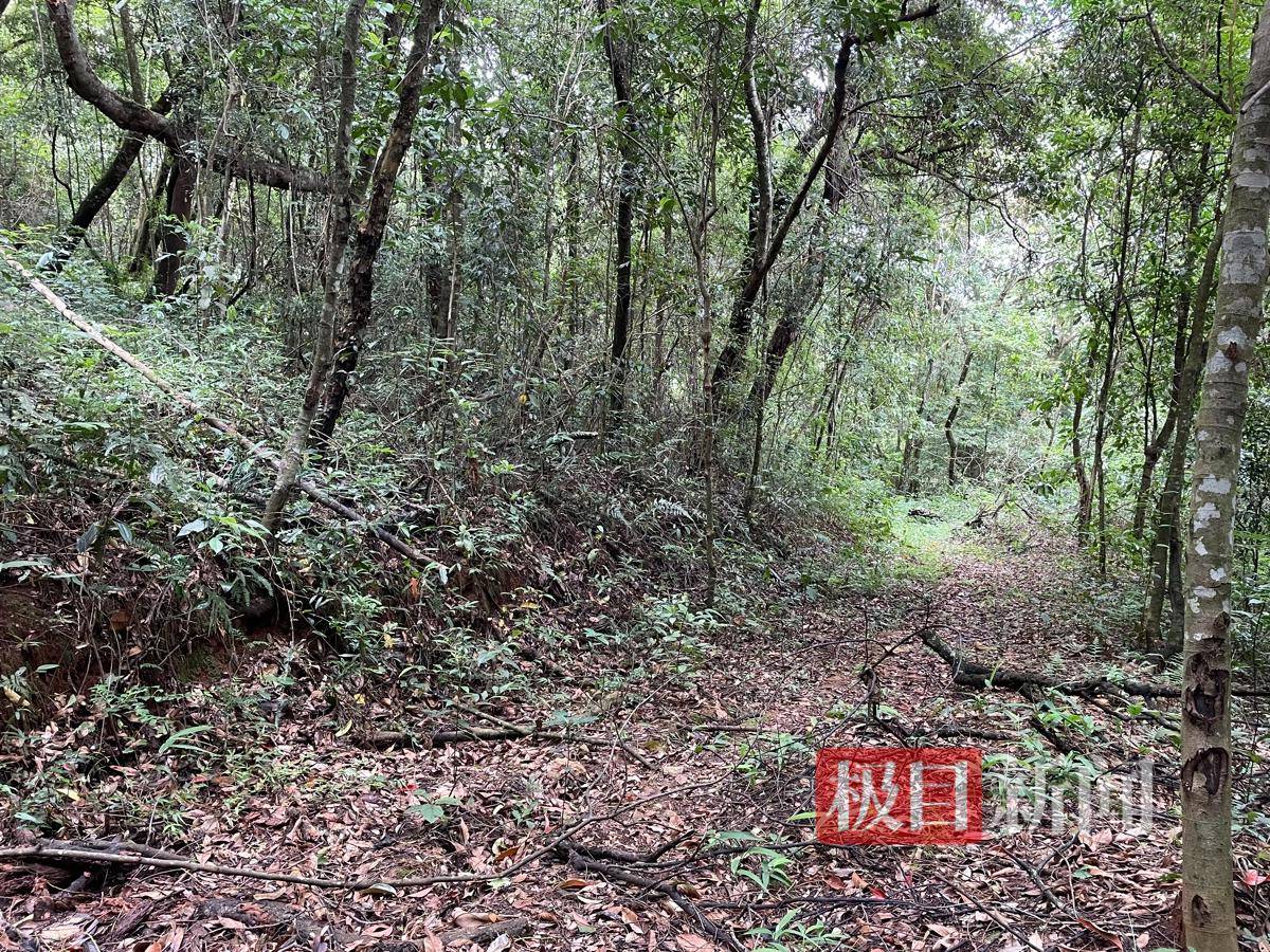 正版皇冠信用网代理_失孤:南京女大学生被害6年后正版皇冠信用网代理,一位父亲的战斗与和解