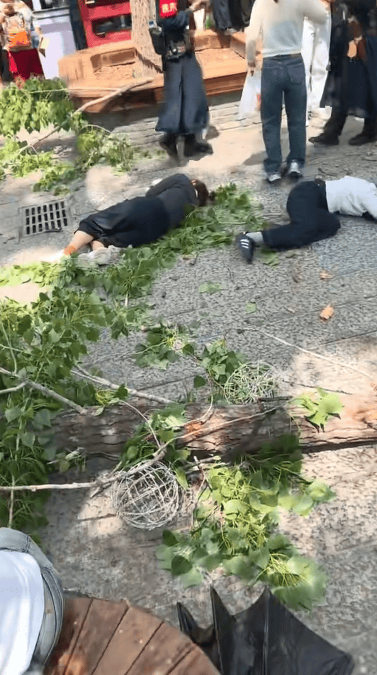 皇冠信用网怎么申请_河南开封万岁山景区树干倒塌皇冠信用网怎么申请，多名游客被砸伤，景区回应：已有专人对接处理