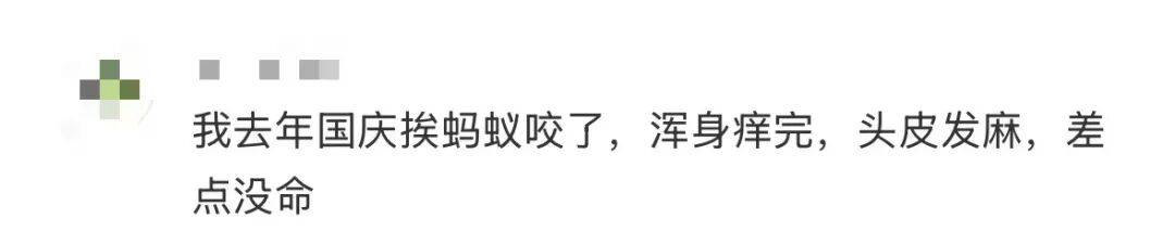 皇冠信用网登3_网友炸锅皇冠信用网登3!广东多个公园、绿化带中出现!深圳疾控紧急提醒:远离这种小土堆