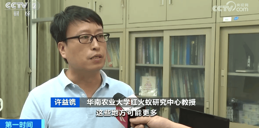 皇冠信用网登3_网友炸锅皇冠信用网登3!广东多个公园、绿化带中出现!深圳疾控紧急提醒:远离这种小土堆