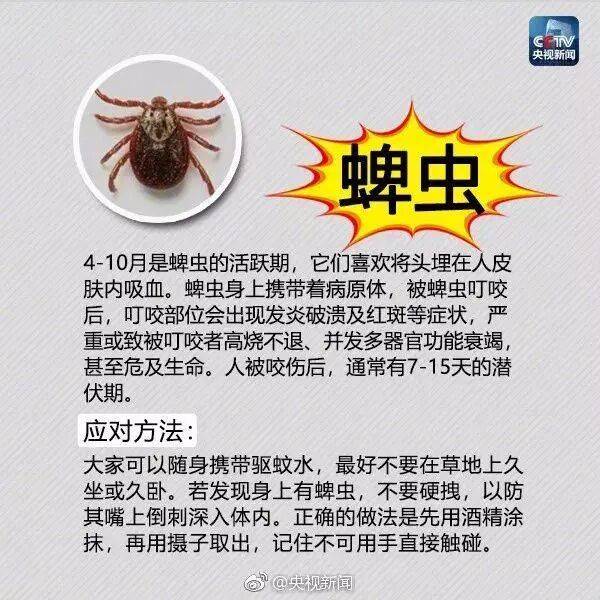 皇冠信用网登3_网友炸锅皇冠信用网登3!广东多个公园、绿化带中出现!深圳疾控紧急提醒:远离这种小土堆
