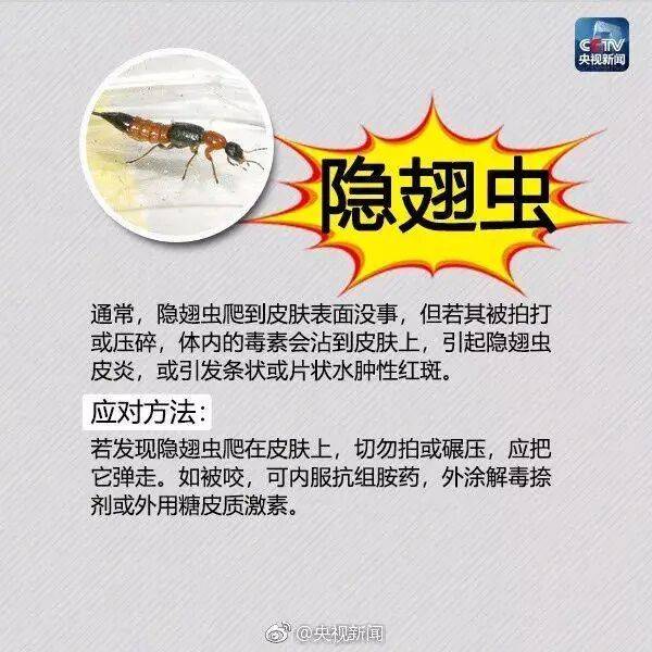 皇冠信用网登3_网友炸锅皇冠信用网登3!广东多个公园、绿化带中出现!深圳疾控紧急提醒:远离这种小土堆