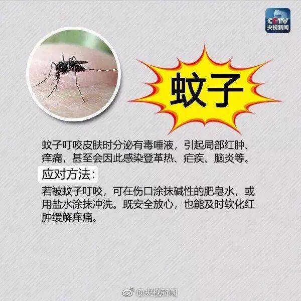 皇冠信用网登3_网友炸锅皇冠信用网登3!广东多个公园、绿化带中出现!深圳疾控紧急提醒:远离这种小土堆