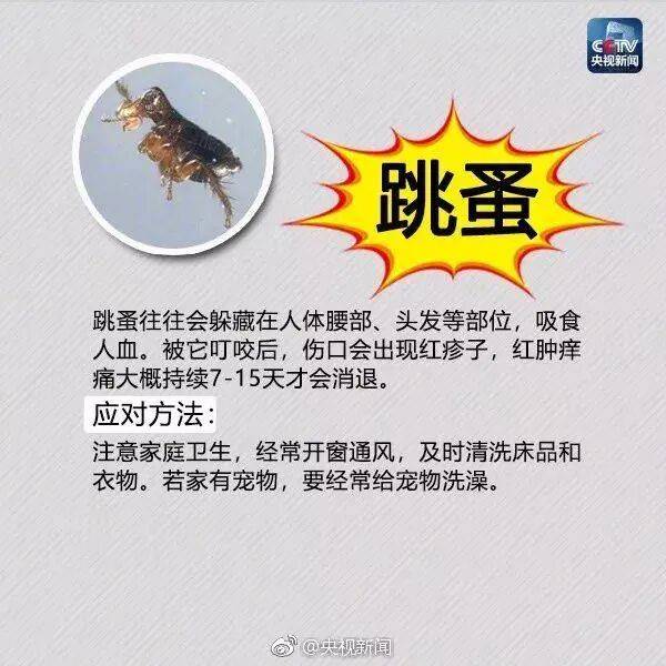 皇冠信用网登3_网友炸锅皇冠信用网登3!广东多个公园、绿化带中出现!深圳疾控紧急提醒:远离这种小土堆