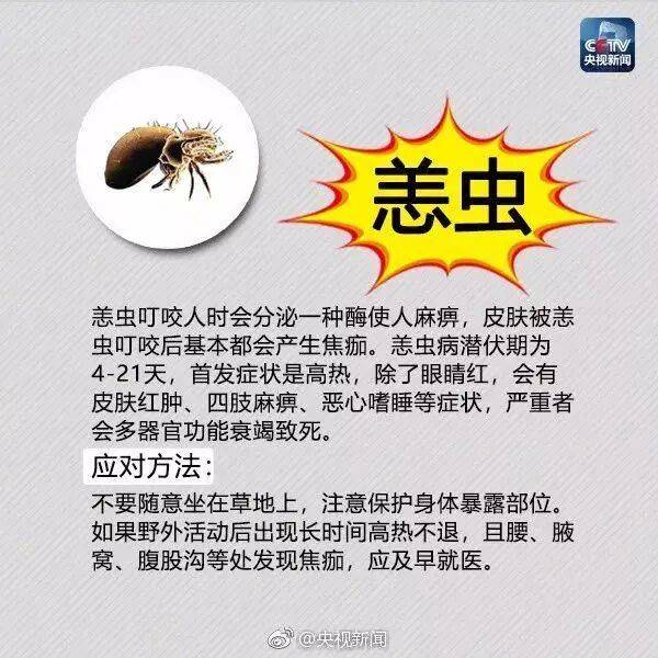 皇冠信用网登3_网友炸锅皇冠信用网登3!广东多个公园、绿化带中出现!深圳疾控紧急提醒:远离这种小土堆