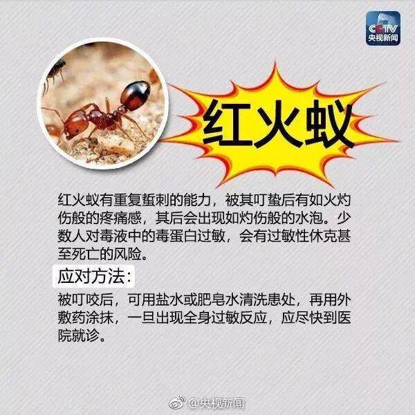 皇冠信用网登3_网友炸锅皇冠信用网登3!广东多个公园、绿化带中出现!深圳疾控紧急提醒:远离这种小土堆