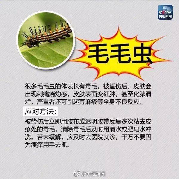 皇冠信用网登3_网友炸锅皇冠信用网登3!广东多个公园、绿化带中出现!深圳疾控紧急提醒:远离这种小土堆