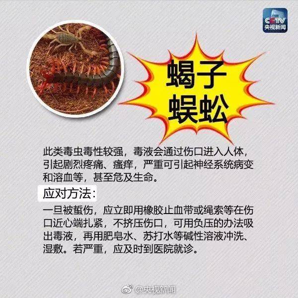 皇冠信用网登3_网友炸锅皇冠信用网登3!广东多个公园、绿化带中出现!深圳疾控紧急提醒:远离这种小土堆