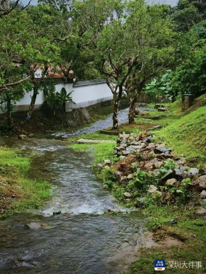 正版皇冠信用网开户_客流、热度、营收齐涨 这个“五一”深圳坪山靠什么圈粉游客