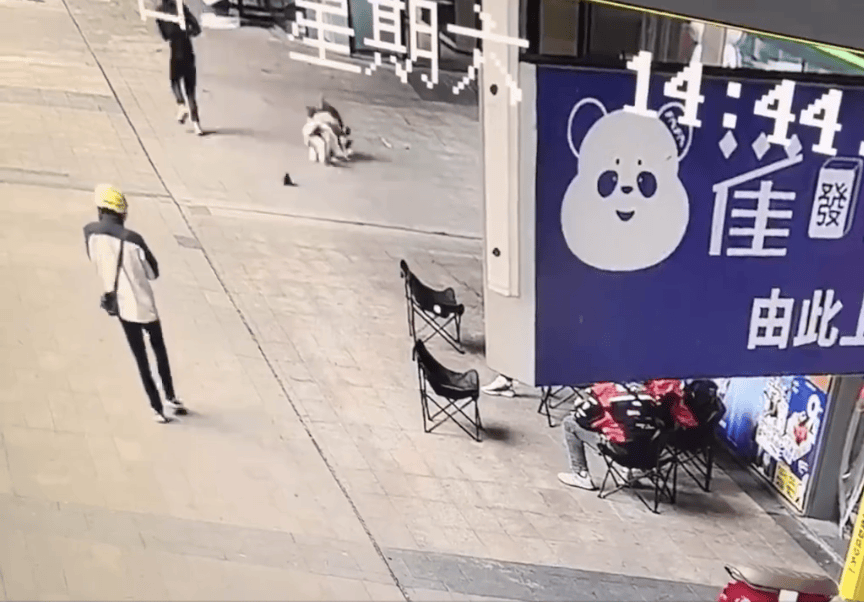 世界盃如何代理
_江西南昌警方:违法行为人张某某(男世界盃如何代理
,15岁)正接受公安机关调查