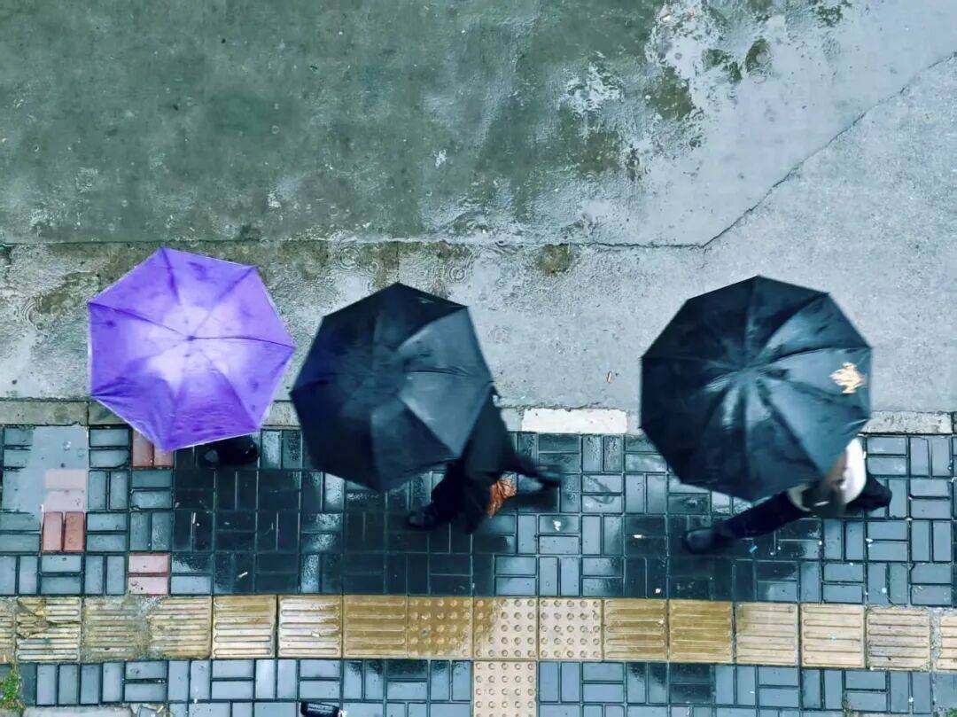 皇冠盘
_北京:全市有雨!局地或达暴雨量级皇冠盘
,具体时段——